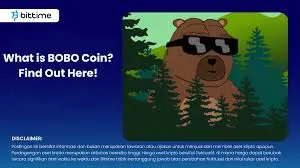 Bobo The Bear